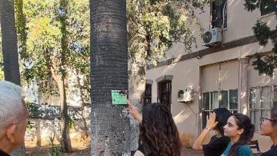 YEŞİL VATAN BENİM OKULUM GELECEĞE ÇARE